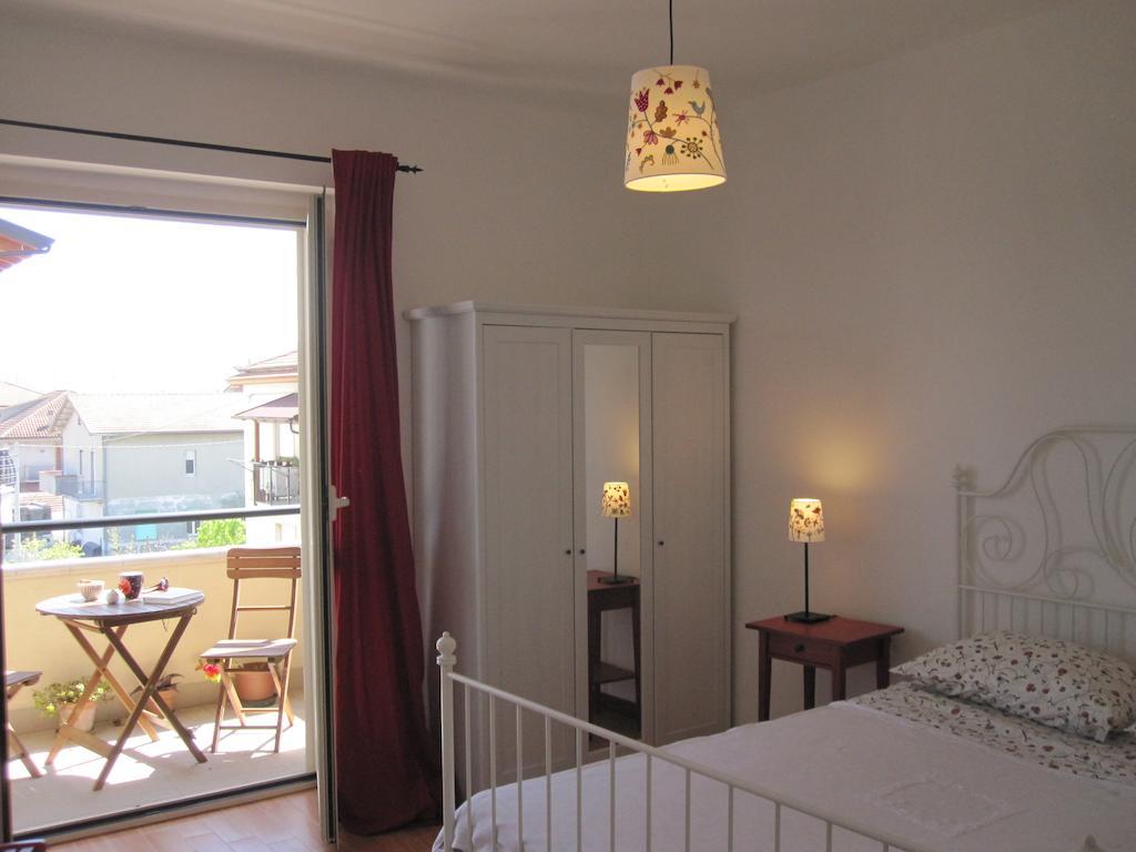 Magnolia B&B 圣安杰洛城 外观 照片